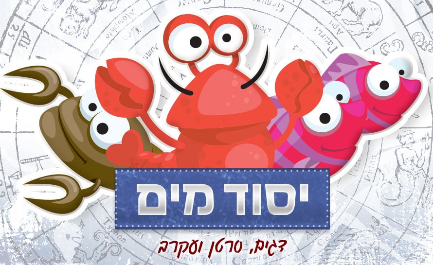 אסטרולוגיה | יסוד מים והתאמה זוגית