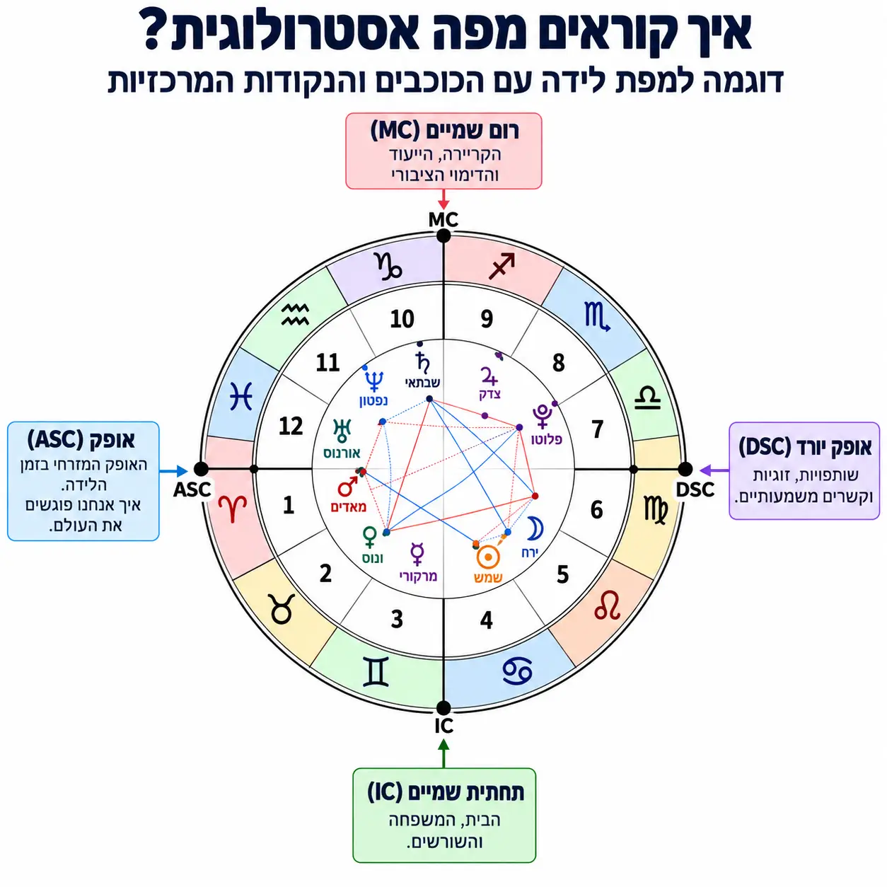 הסמלים והסימנים במפת הלידה