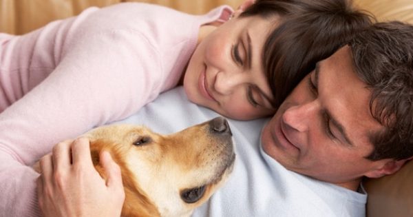 אהבה וחיות אחרות