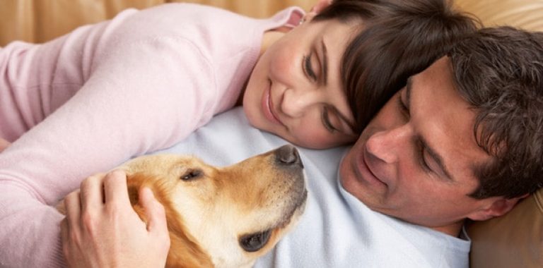 אהבה וחיות אחרות