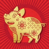 אסטרולוגיה סינית – מזל חזיר